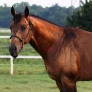 Meet your Posher, Ingrid